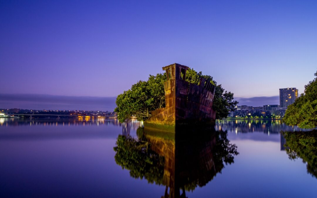 Australia’s “Floating Forest” Is An Unusual Natural Wonder, But It Actually Has Man-Made Origins