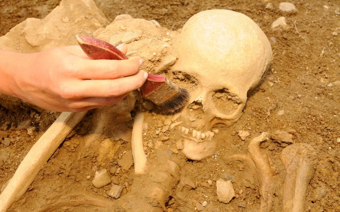 Medieval Skeleton Sheds Light On Sweden’s Healthcare For Disabled