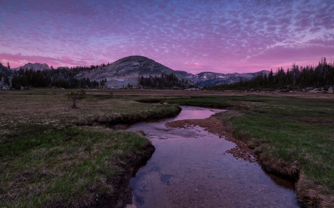 Yosemite National Park Makes Unpopular Decision To Keep Covered Area Closed For The Summer