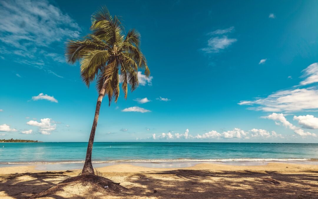 Bad Bunny’s Home Is The Hot Spot For Spectacular Beaches And Pristine Waters