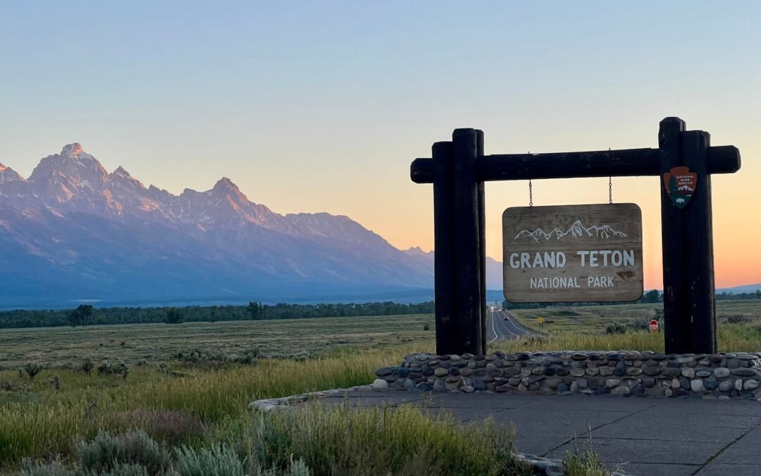 Grand Teton National Park Praised For Life-Saving Efforts Thanks To Clever Papier-Mâché Creation