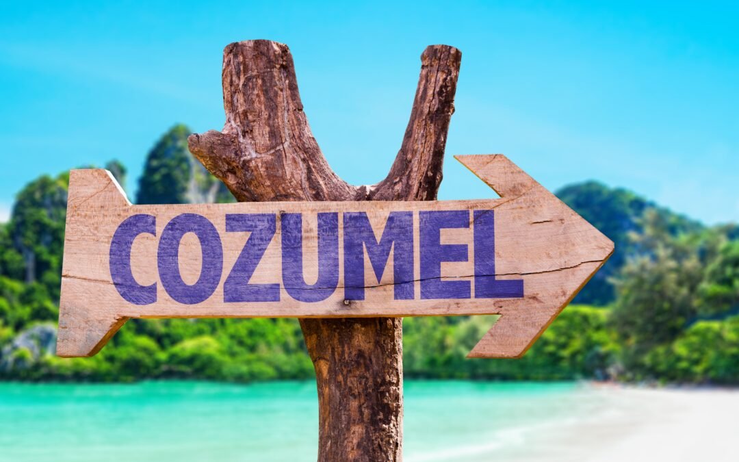 Mexican Government Praised After Scientists Are Called In To Solve Nagging Beach Issue That Won’t Go Away