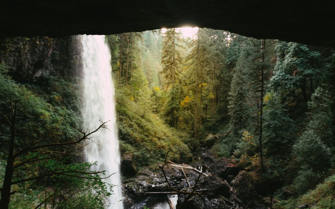 Oregon’s Most Serene State Park