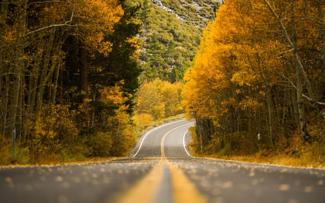 This California Road Trip Is Definitely Bucket-List Worthy