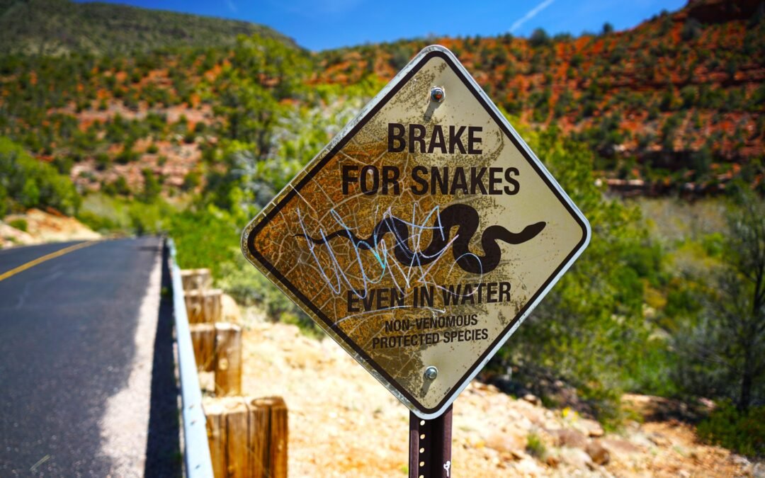 One Of America’s Most Snake-Infested States Is One Of The Most Underrated Tourist Destinations