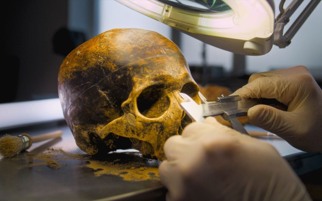 Scientists In Colombia Sound The Alarm In Bogotá: Unknown Human Lineage Detected