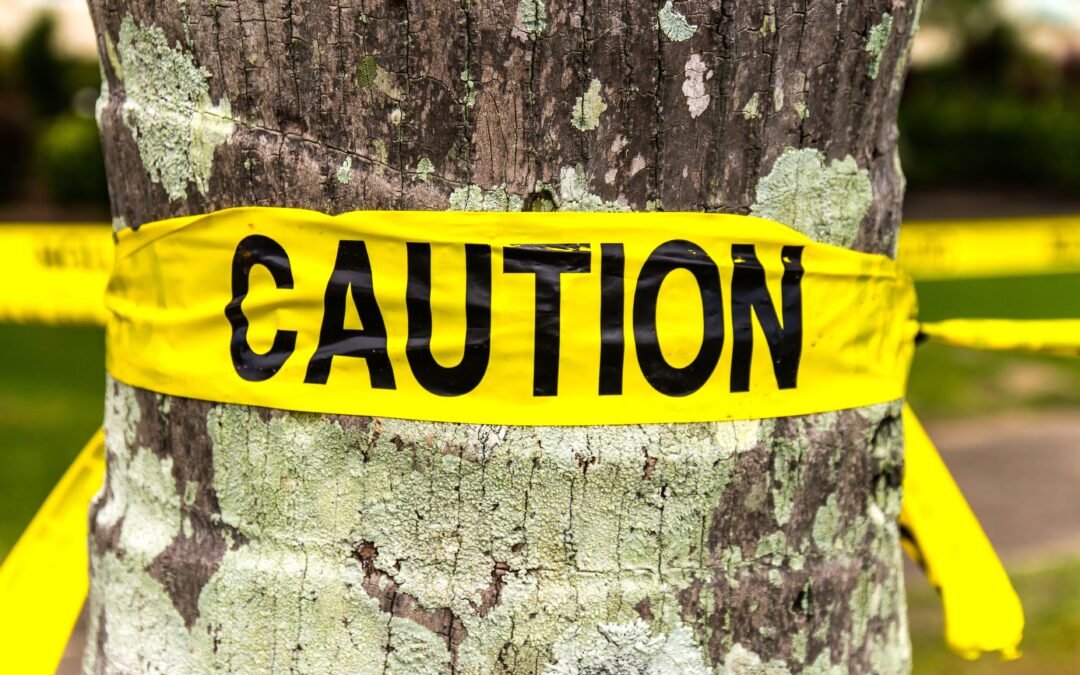 Popular California Park Issues Visitor Warning Over Unusual New Threat