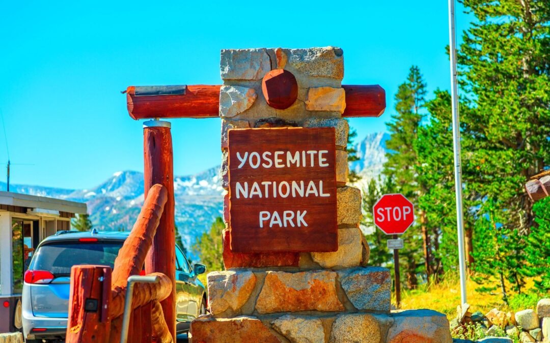 Yosemite National Park Video Shows The Grim Reality Of Visiting In Peak Season