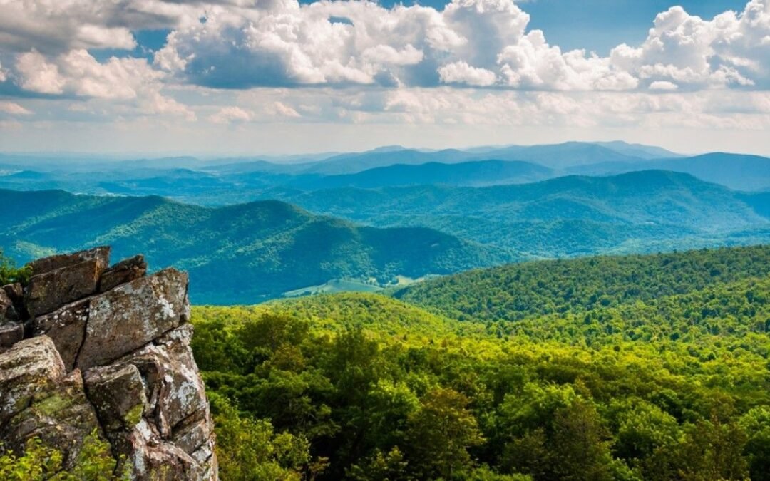 Everyone Talks About The Great Smoky Mountains—But Shenandoah May Be The Underrated Gem