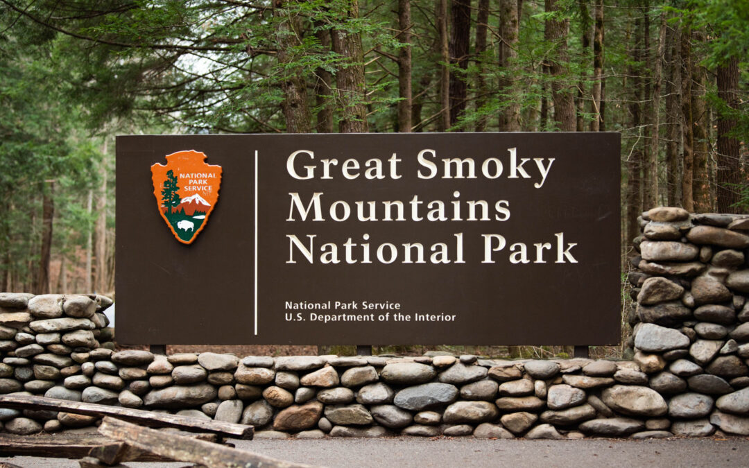 Great Smoky Mountains National Park’s Most Exclusive Attraction Is At Risk, Experts Say