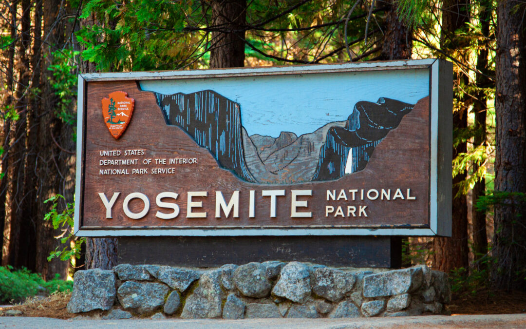 Yosemite National Park Warns Visitors Of Rare Tree Hazard After Google Engineer’s Death