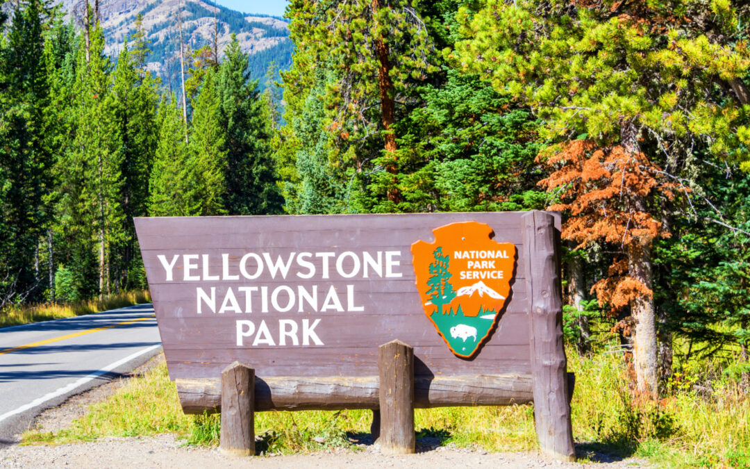 Yellowstone National Park Loses Tourists Following President Trump’s $100 ‘America First’ Fee