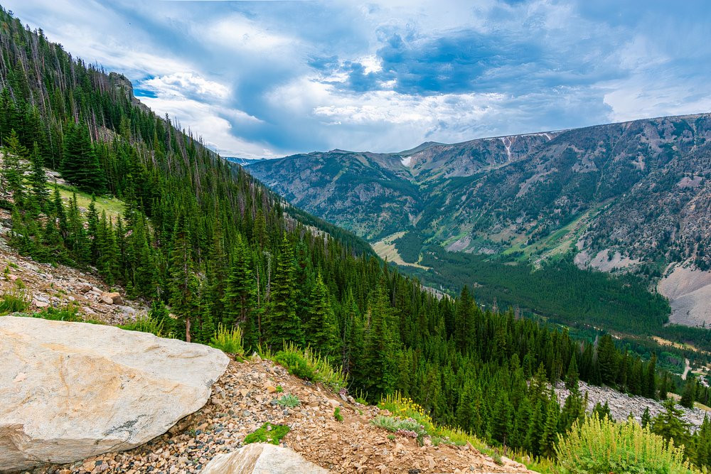 Impaled U.S. Hiker Does The Opposite Of Rescued Yosemite National Park Tourist And Avoids $100,000 Bill