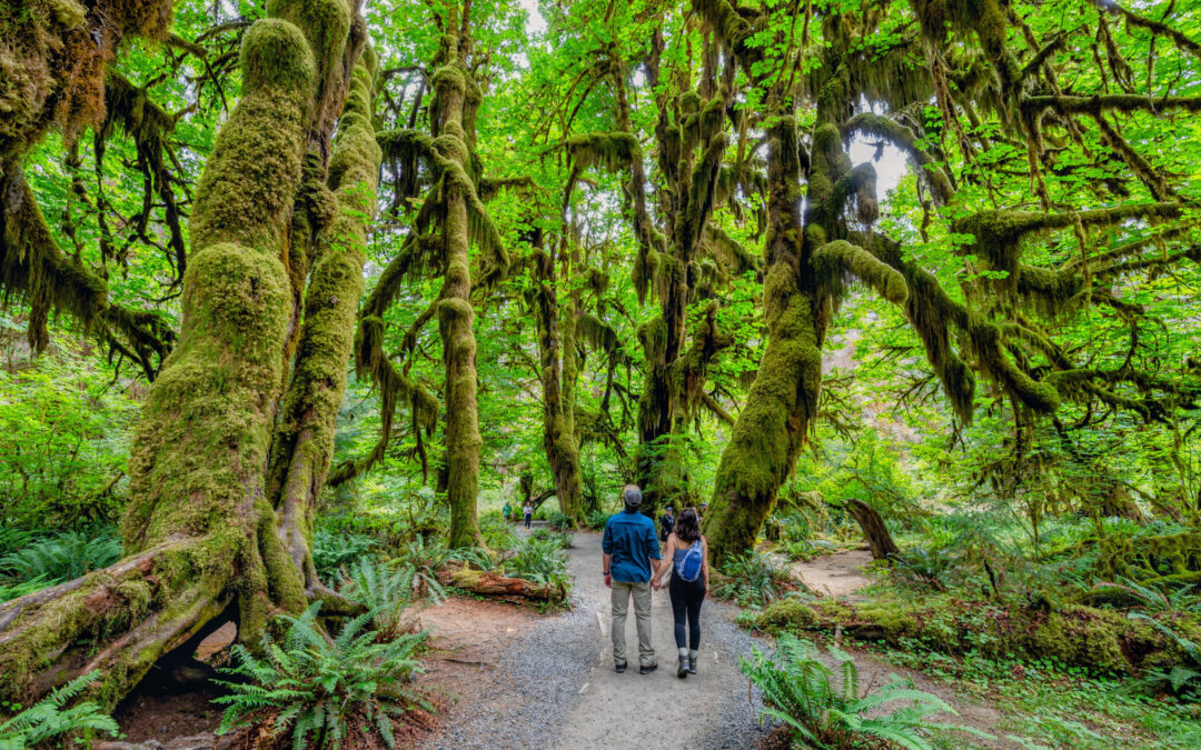 U.S. National Parks With The Best Short Hikes