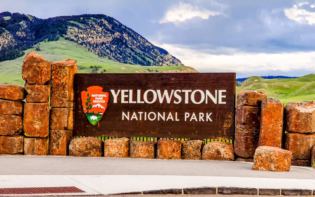 Yellowstone National Park Left In The Dark As Trump Administration Blocks $25 Million Funding
